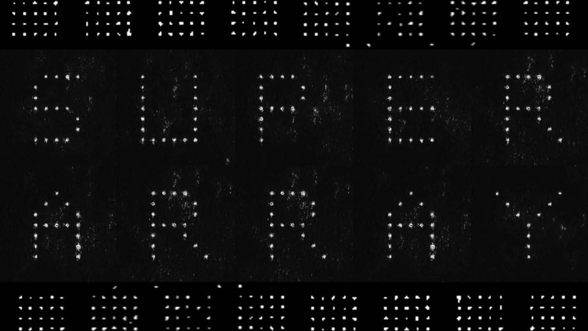 Optisch kontrollierte Einzelatome dienen als Quantenbits ein einem zweidimensionalen Quantenprozessor 