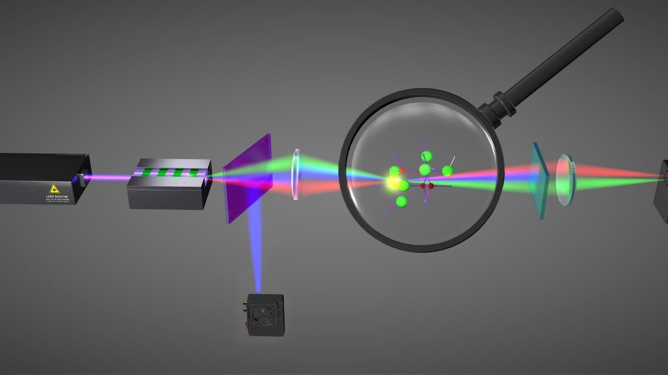 Darstellung der ETPA-Fluoreszenzmikroskopie