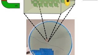 Schematische Darstellung von einem Signal durch die Spinrichtung im Magnetfeld 