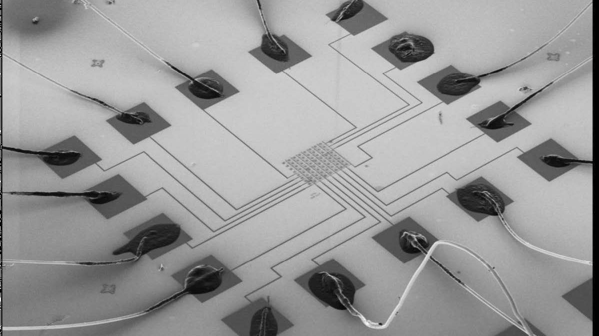 Elektronenrastermikroskop Bild eines hochsensiblen 8x8 Pixel Detektor Arrays
