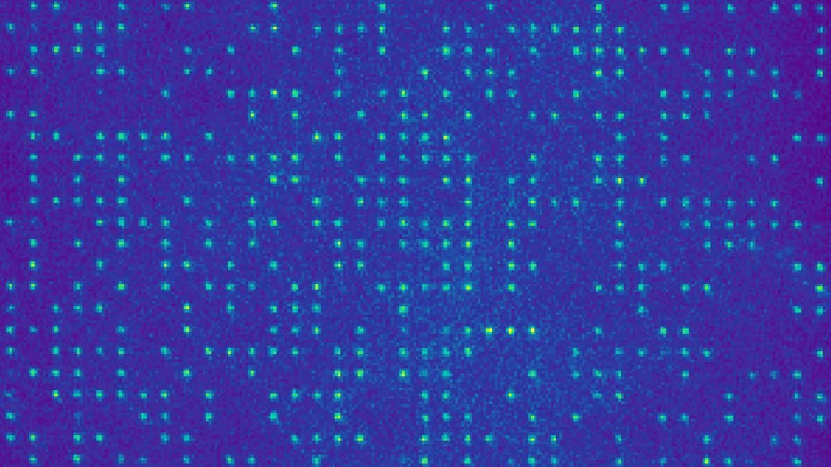 Abbildung Einzelatom-Qubits 