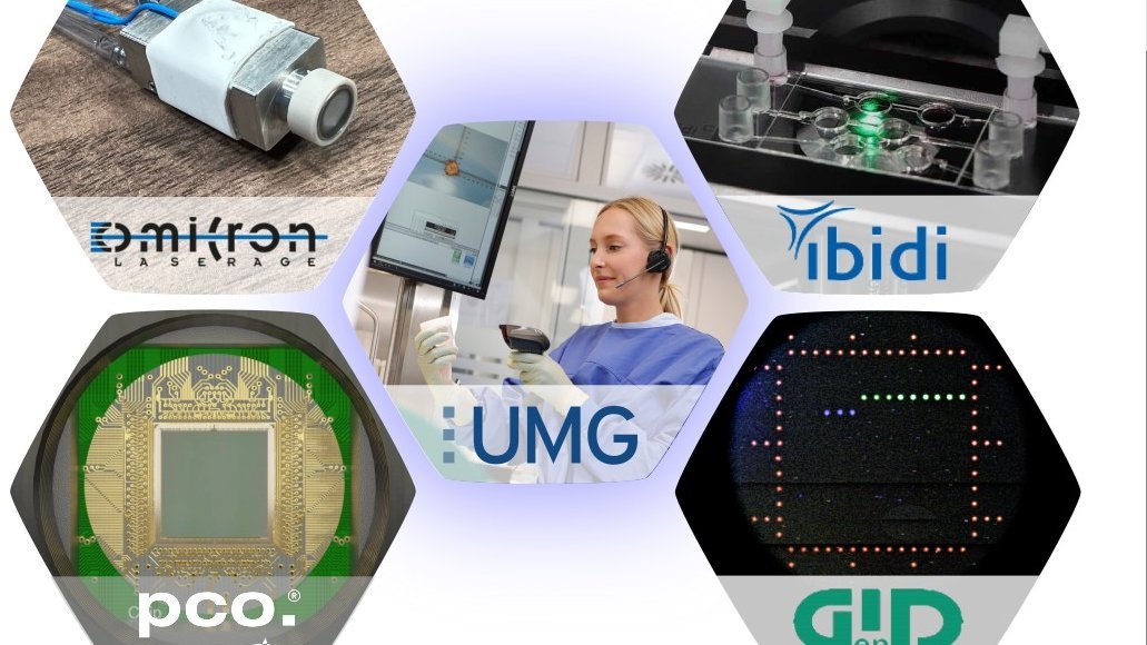 Grafische Darstellung des Verbundes