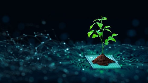 Quantentechnologische und photonische Systemlösungen für Herausforderungen des Umwelt- und Klimaschutzes, der Biodiversität, der nachhaltigen Energiesysteme und der Ressourcenschonung